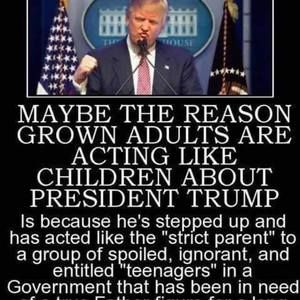 Meet your Posher, Timothy